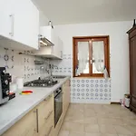 Tiziana In